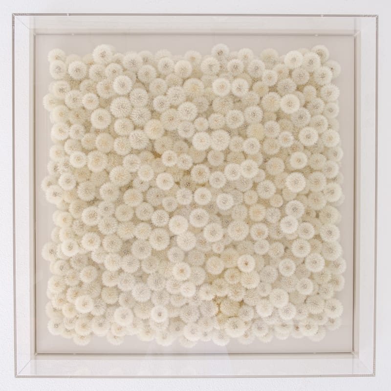 Hilde Trip, Wish Full