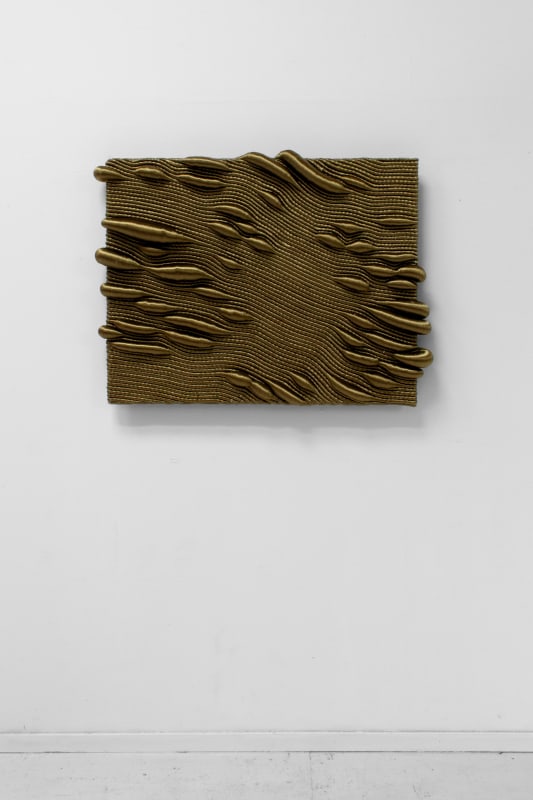 Joana Schneider, Mossy Swamp