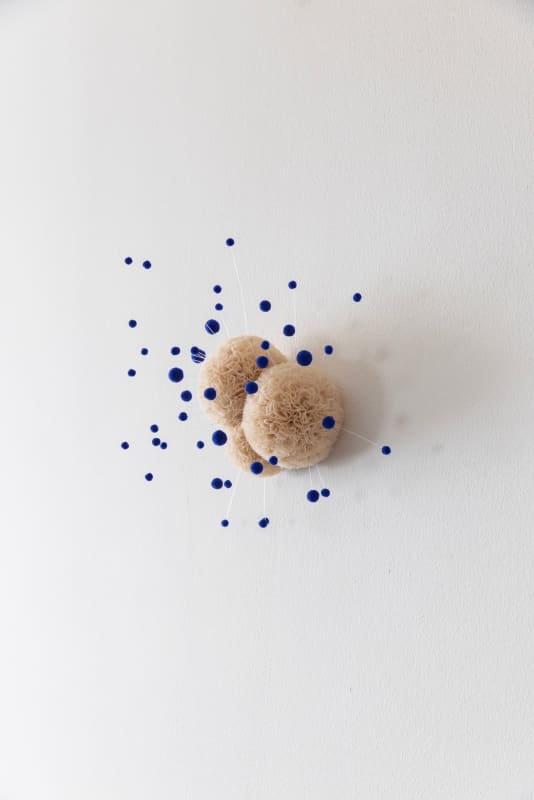 Sofie Aaldering, Drift of Colour Blue