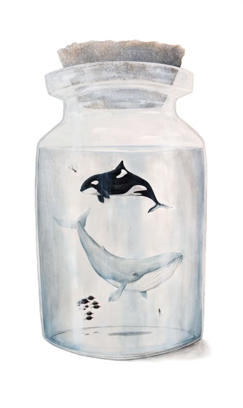 Jackie Case, Collecting Tears is Soy Beautiful, 2025