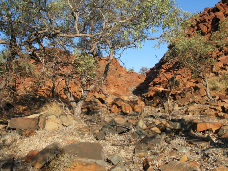 Askin (Ric) Morrison Untitled 1, 2014 c-type photograph 42 x 60 cm