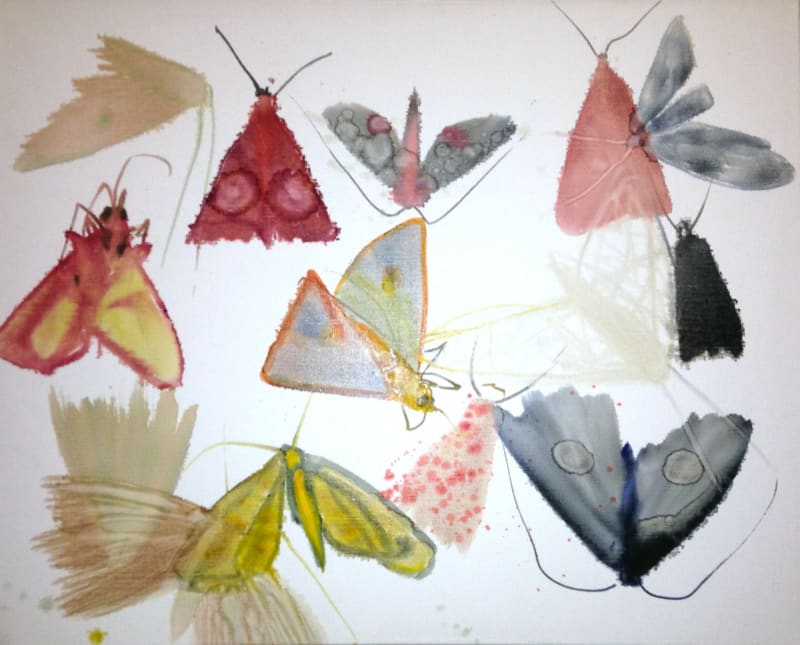 Allyson Reynolds Untitled III (Moths), 2010 thinned down oil paint on fine linen 80 x 100 cm 31 1/2 x 39 3/8 in
