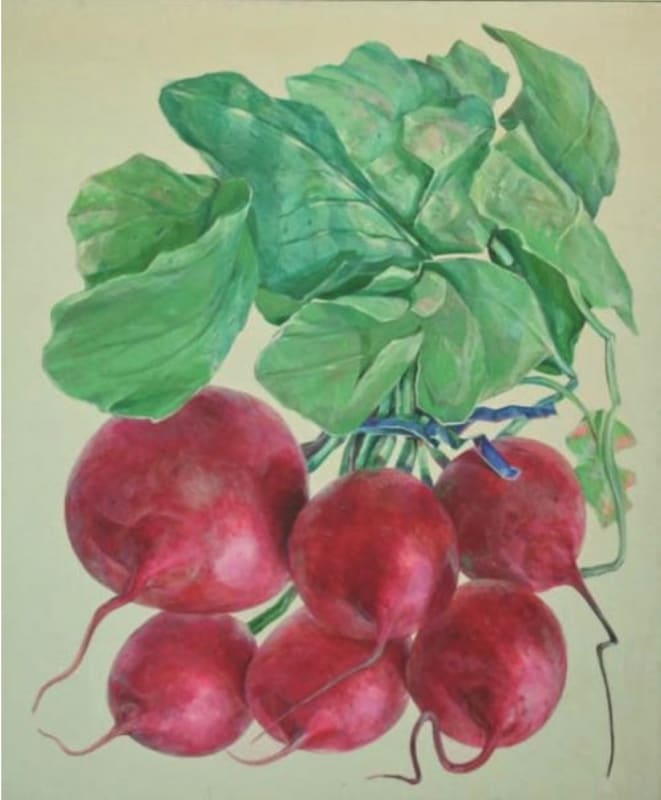 Don Nice, Radishes, 1966