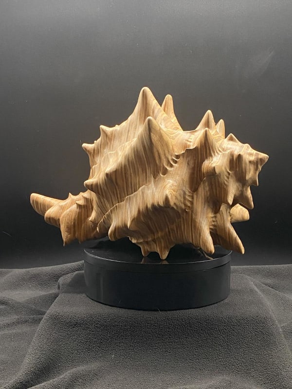 Mark Bowman, Shell II, 2023