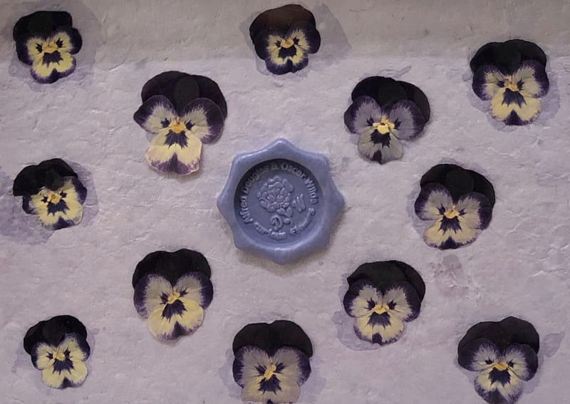 Catriona Clark, Curious Flowers: Dark Pansies, 2024