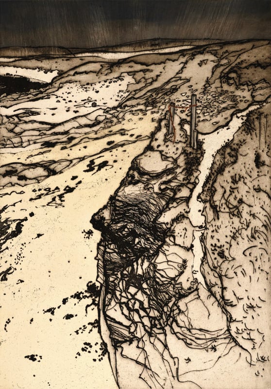 Frances Walker RSA, Cliff Path, 2024
