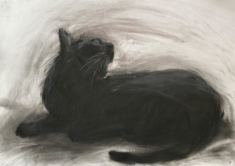 Amelia McComb, Phoebe, 2025