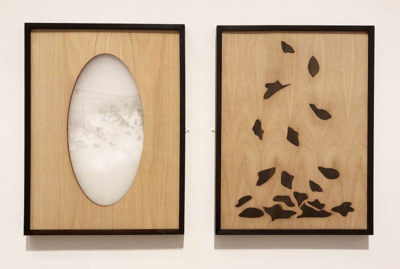 Chloe Beddow, Traces, 2024