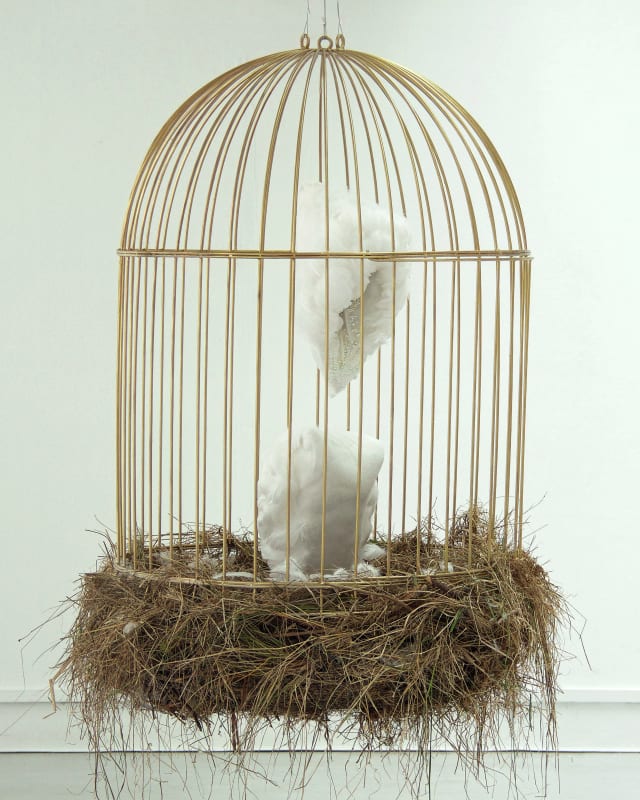 Iona Brown, Cage, 2021