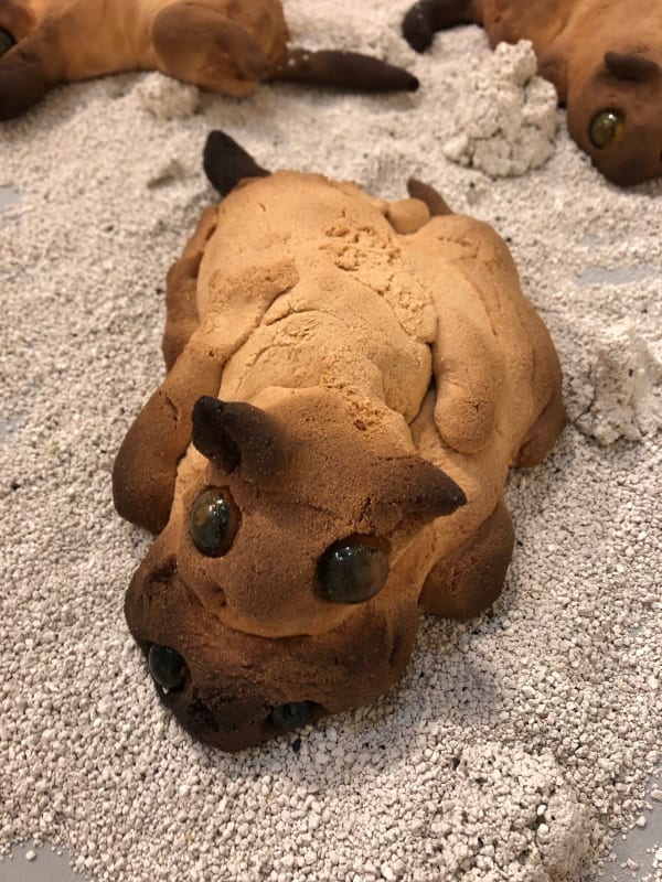 Jasmine Forbes, Sooterkin