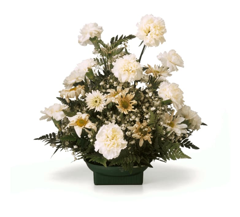 CHUCK RAMIREZ QUARANTINE 2000