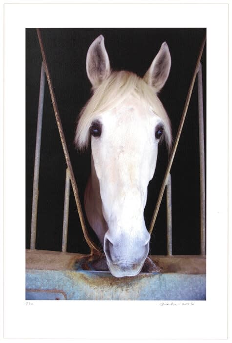 Christopher Makos, Blonde, 2006