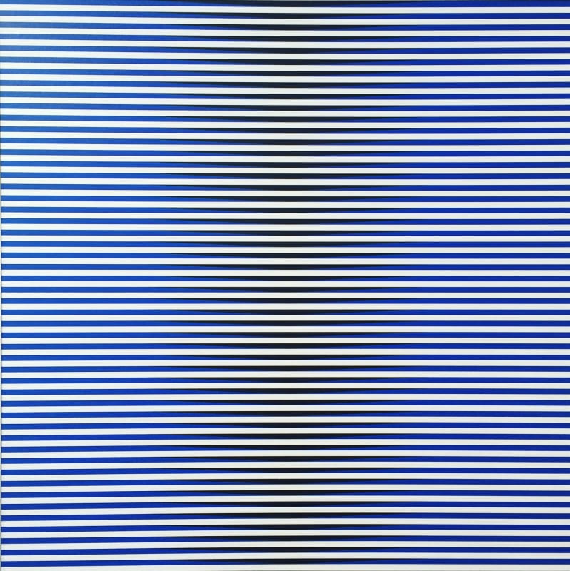 Carlos CRUZ-DIEZ, Induction de jaune, Beatriz E, 2010
