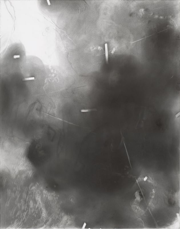 Susan Jacobs, Blanch inkjet manouvre, 2013-2016