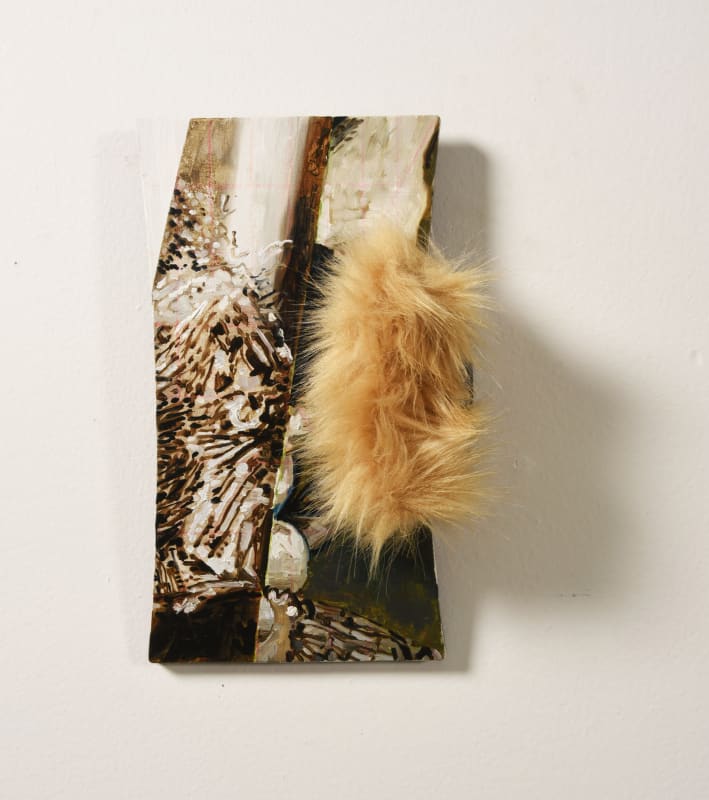 Andrea Eckersley & Steven Rendall Furry, 2019 Oil on plastic, fake fur, acrylic case 34.5 x 24.5 x 10.5 cm