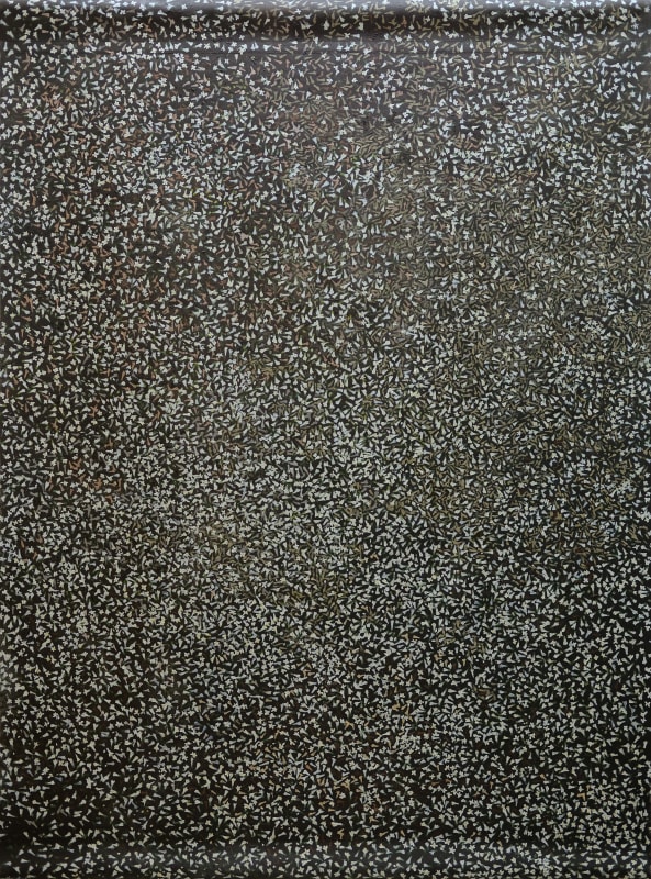 Noppanan Thannaree, Grounding #P1, 2018