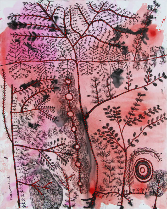 Peter Mungkuri Ngura (Country) Acrylic and ink on linen 122 x 152 cm