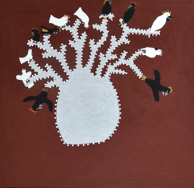 Shirley Purdie Boab Tree with Cockatoos, 2021 natural pigment on canvas 80 x 80 cm