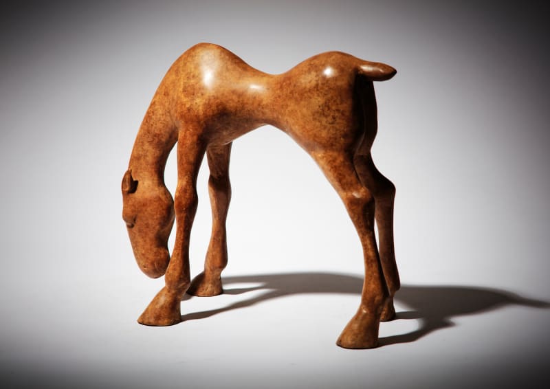 Anthony Scott RUA, Small Foal