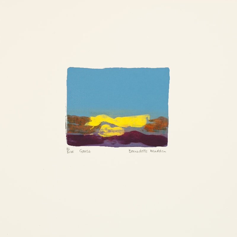 Bernadette Madden, Gorse, 2024