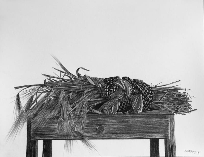 Samah Shihadi, Harvest, 2024