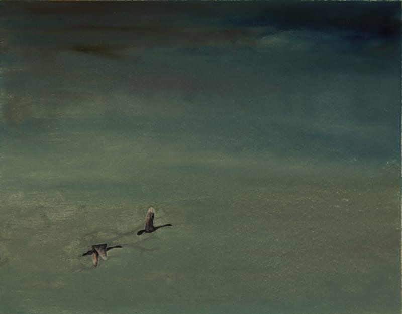 Ann Quinn