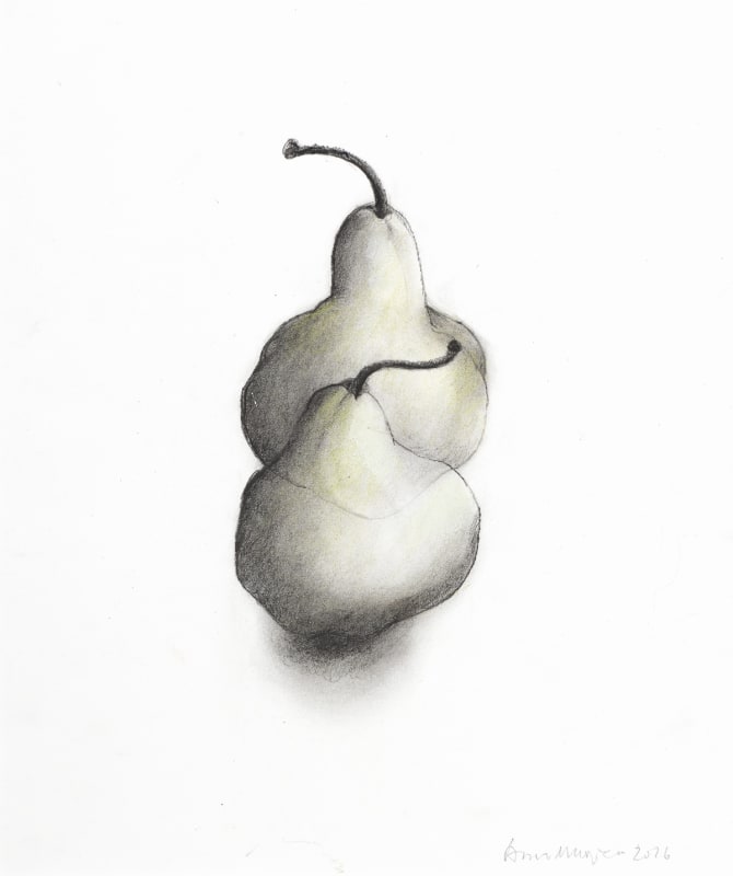 Anne Madden, A pair of pears, 2017