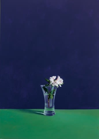 David Gleeson RI, Rhododendron