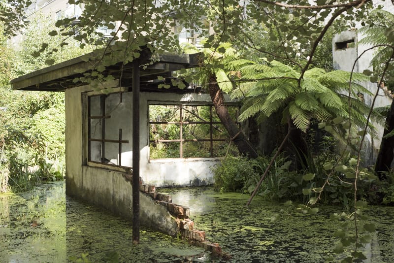 Alex Hartley: After You Left