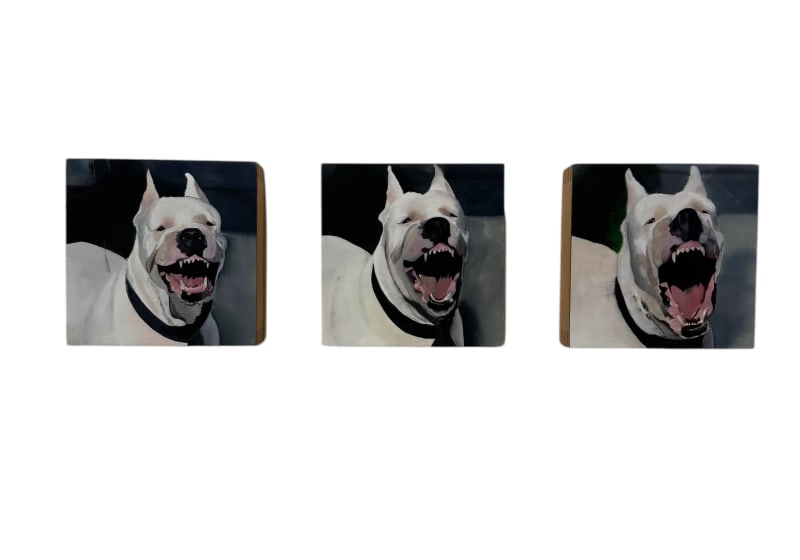 Valeria Terrazas Bark Before the Bite [SET OF 3], 2025 Oil on Panel 8 x 8 in. Each 20.3 x 20.3 cm