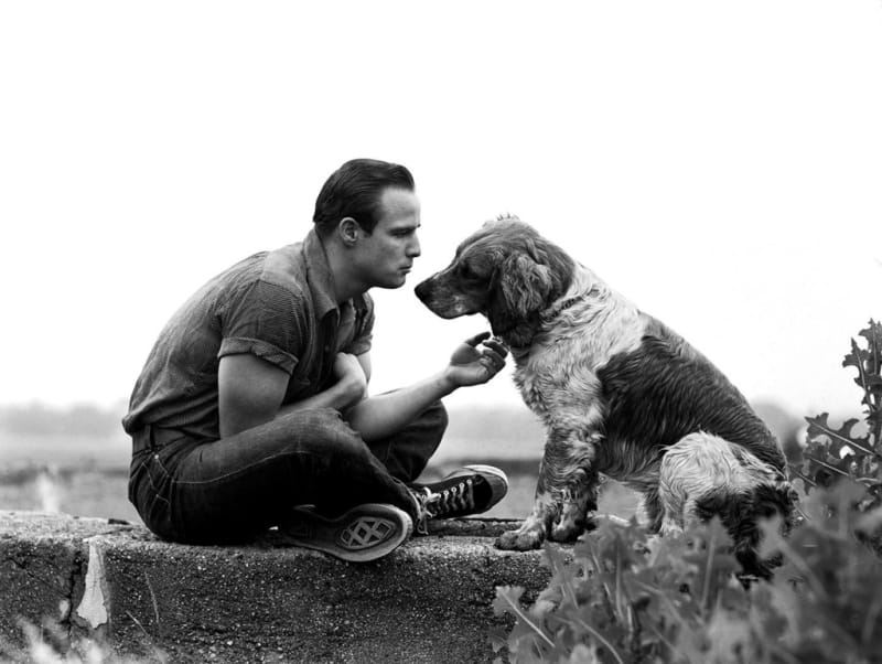 Art Shay, Brando and the family dog, 1950
