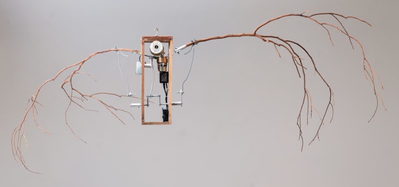 蕭聖健 Hsiao Sheng-Chien, 森林之聲—鳥 Sound of Forest – Bird, 2015