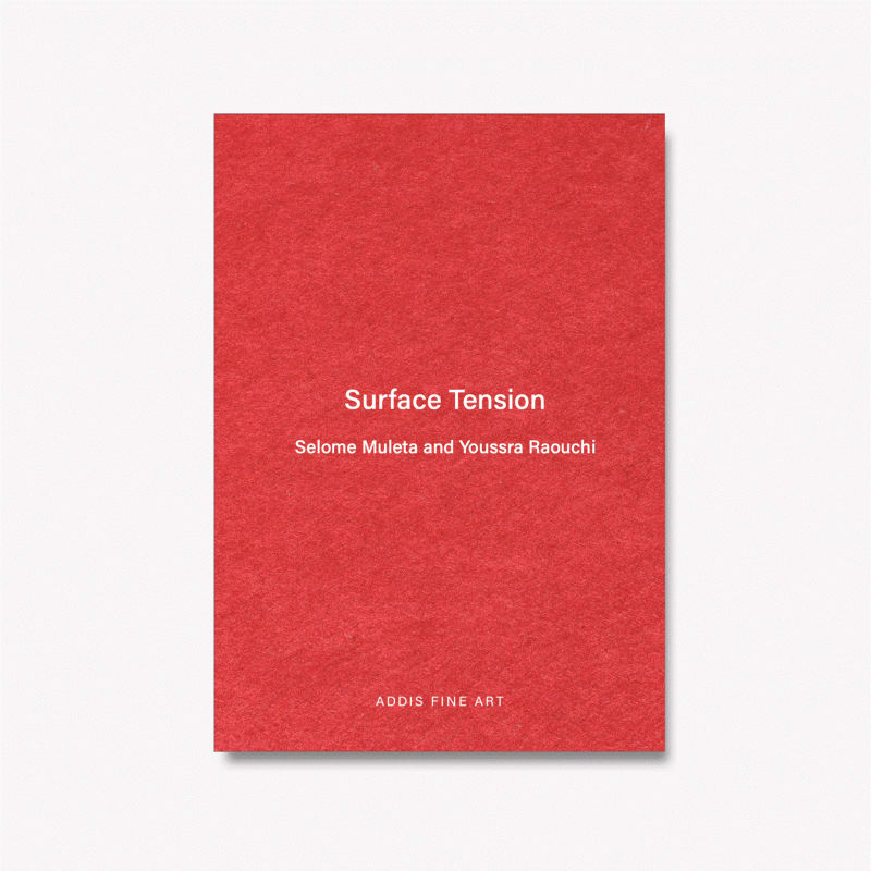 Selome Muleta and Youssra Raouchi, Surface Tension, 2024