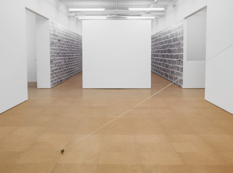 Installation view: Luis Camnitzer, Alexander Gray Associates, New York, 2012