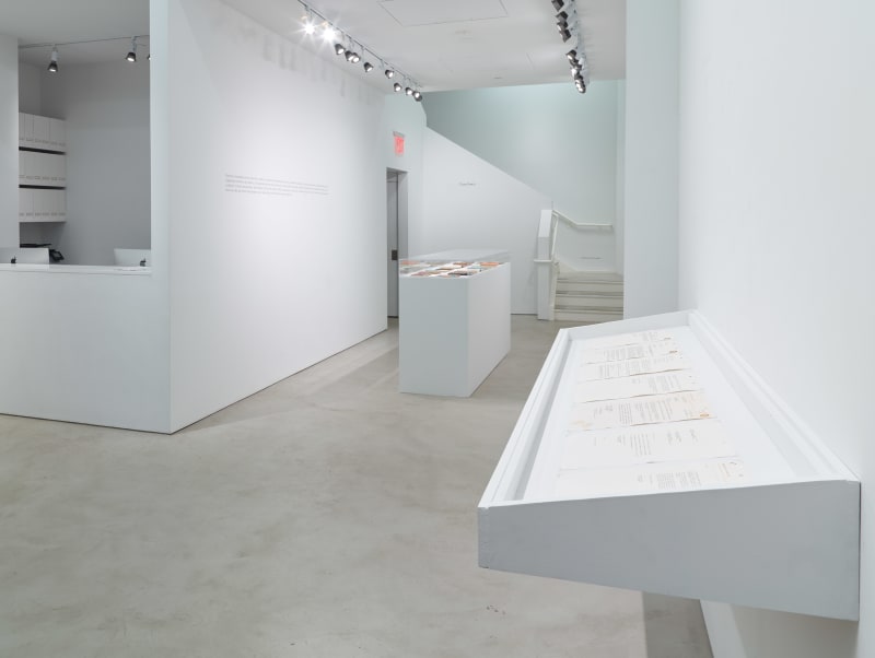 Installation view: Coco Fusco, Alexander Gray Associates, New York, 2016