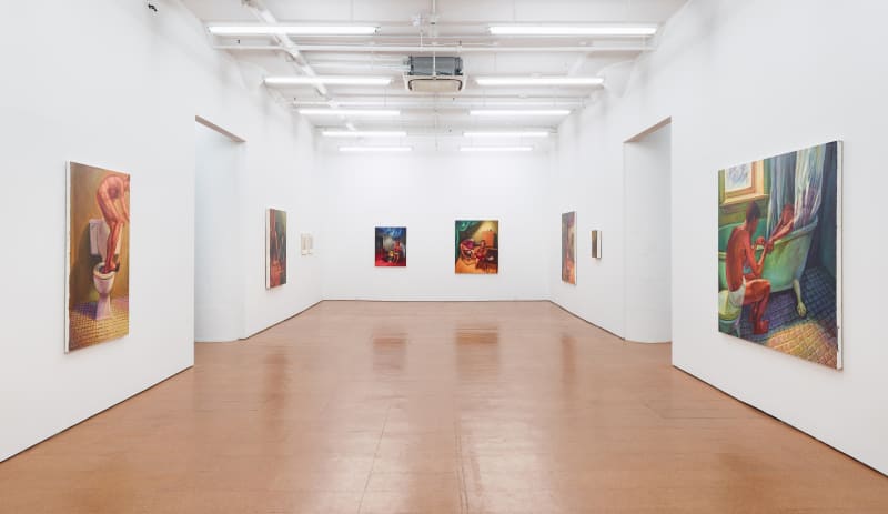 Installation view: Hugh Steers, Alexander Gray Associates, New York, 2013