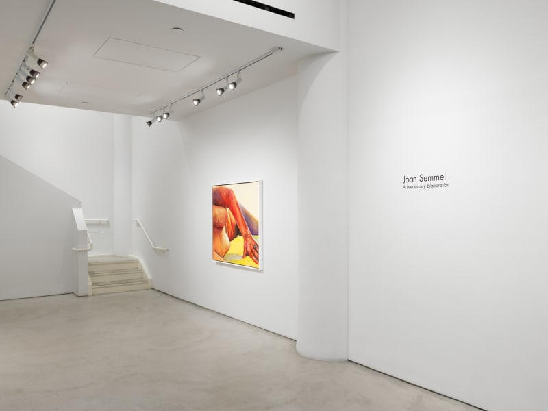 Installation view: A Necessary Elaboration, Alexander Gray Associates, New York, 2019