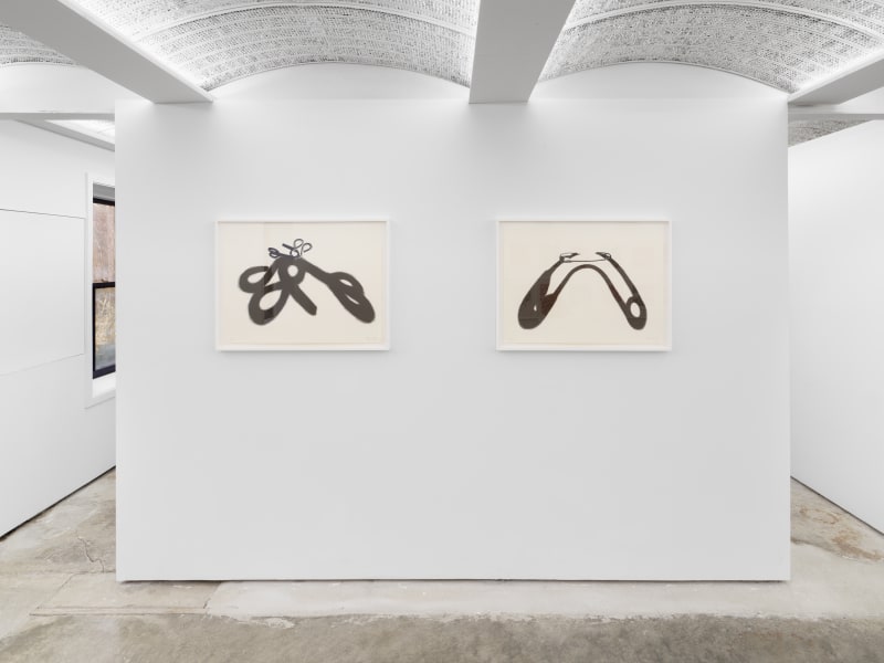 Installation view: Hassan Sharif and Regina Silveira: Between Perception and the World, Alexander Gray Associates, Germantown, 2021–22