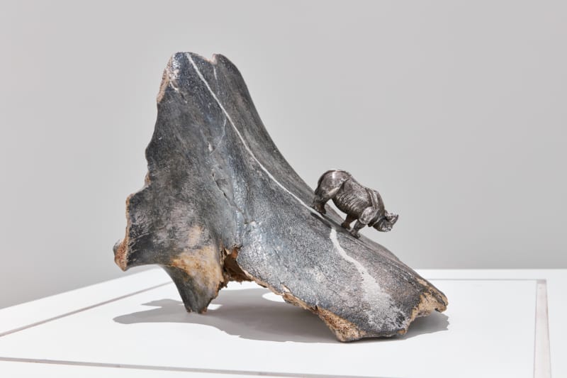 Installation view: Gap in the Clouds, Museum Hof van Busleyden, Mechelen, Belgium, 2022. Image courtesy of the Museum Hof van Busleyden