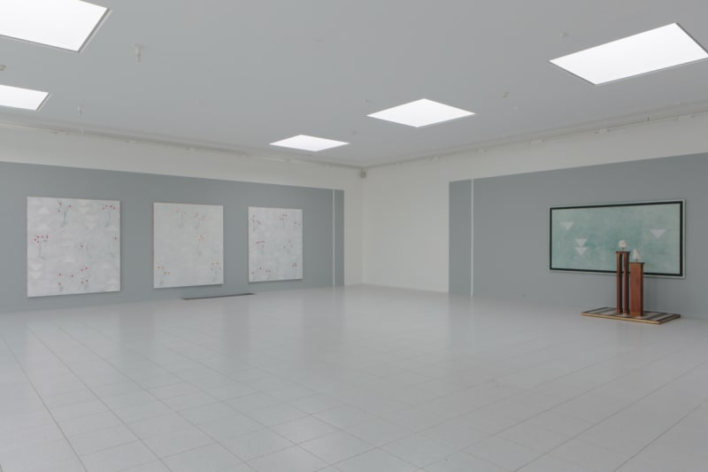 Installation view: Kamrooz Aram: Ornament for Indifferent Architecture, Museum Dhondt-Dhaenens, Deurle, Belgium, 2017. Photo: Rik Vannevel