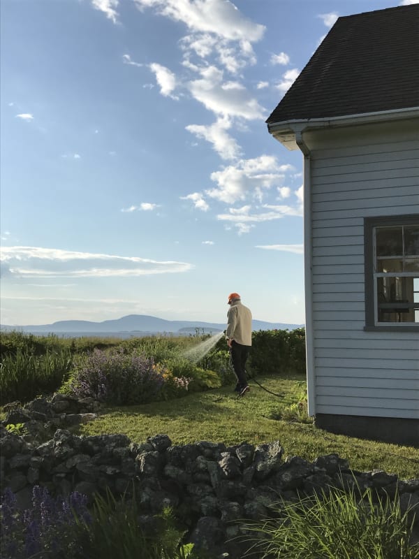 Donald Moffett, 2017