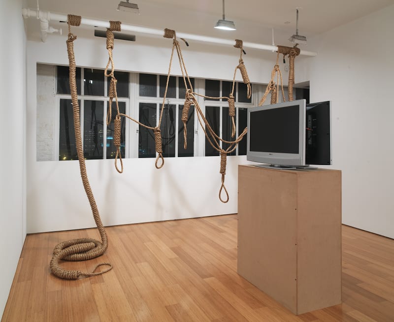 Installation view: Karen Finley: Nation Building, Alexander Gray Associates, New York, 2007