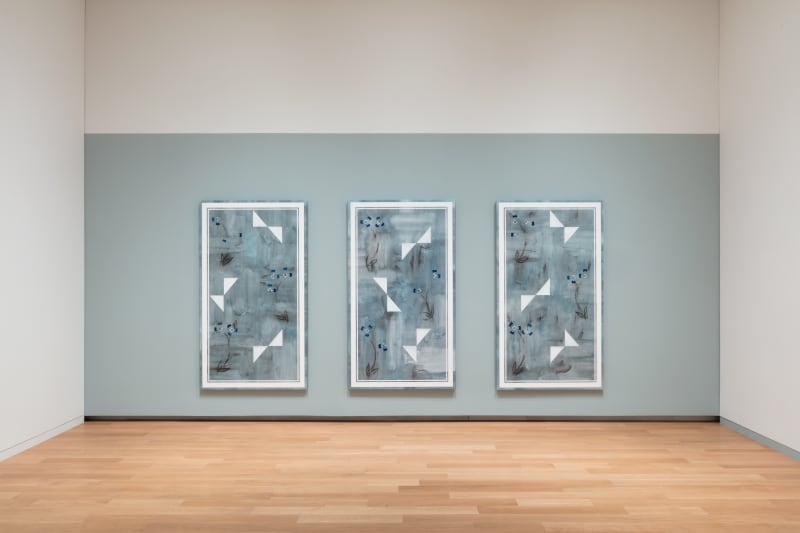 Installation view: FOCUS: Kamrooz Aram, Modern Art Museum of Fort Worth, TX, 2018.