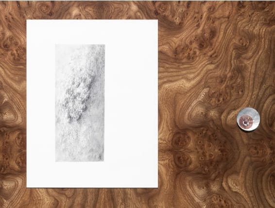 "Untitled (Skin, Constellation 3)," 2024 (detail), Graphite, watercolor, acrylic, paper, goatskin parchment, mother of pearl, mother of pearl buttons, antique 24K gold thread, sambe, cast silver, walnut wood, fern fossil from Carboniferous period, Carphathian elm burn veneer mounted on Dibond, walnut frame