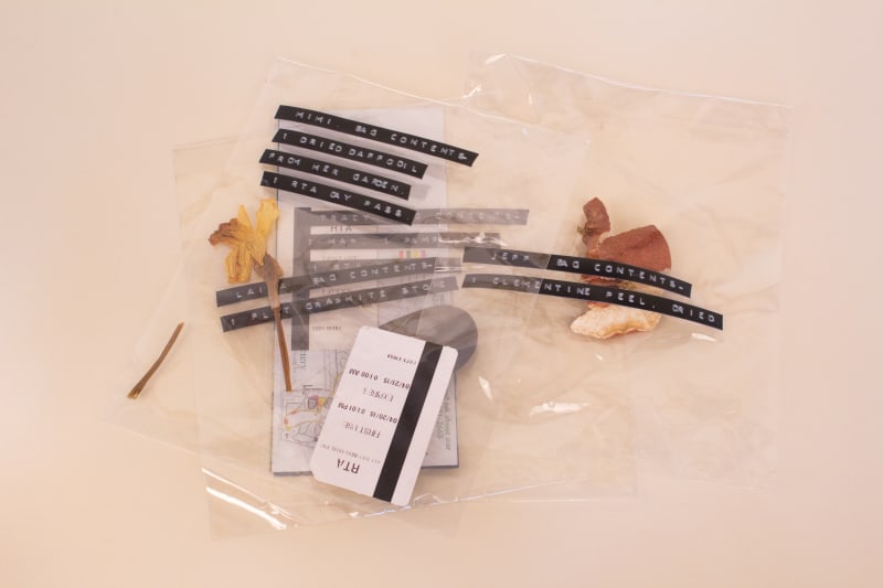 Chloë Bass, The Book of Everyday Instruction Chapter One: you+me together (detail), 2015