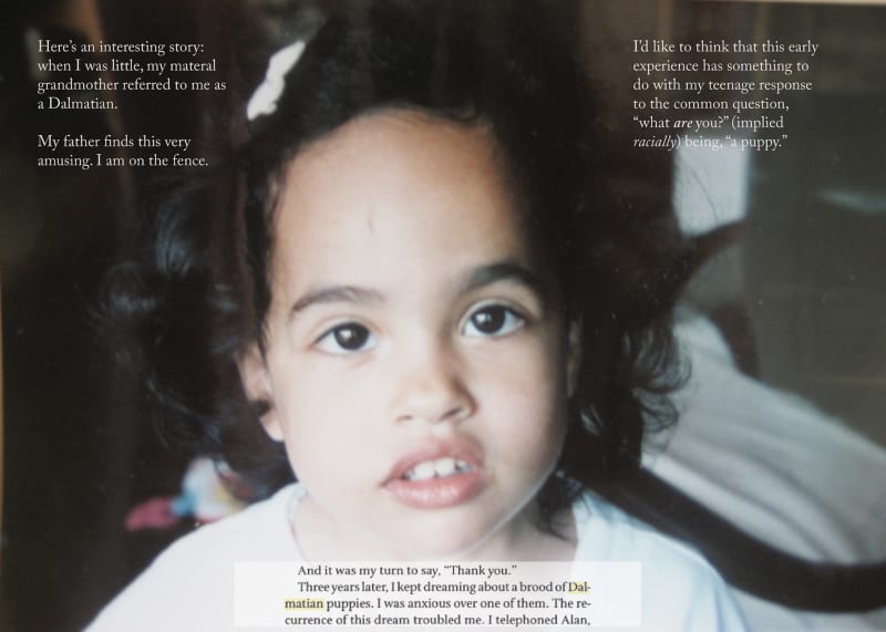 Chloë Bass, Obligation To Others Holds Me In My Place (Dalmatian Narrative), 2018