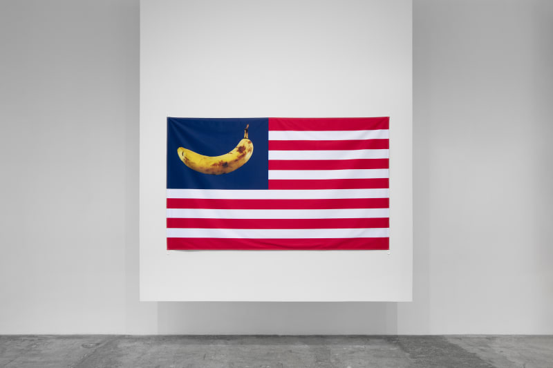 Luis Camnitzer, Flag (2017) as part of the exhibition One that covers the word that names it , LABOR, Mexico City, 2025. Photograph by Ramiro Chaves. Image courtesy of LABOR