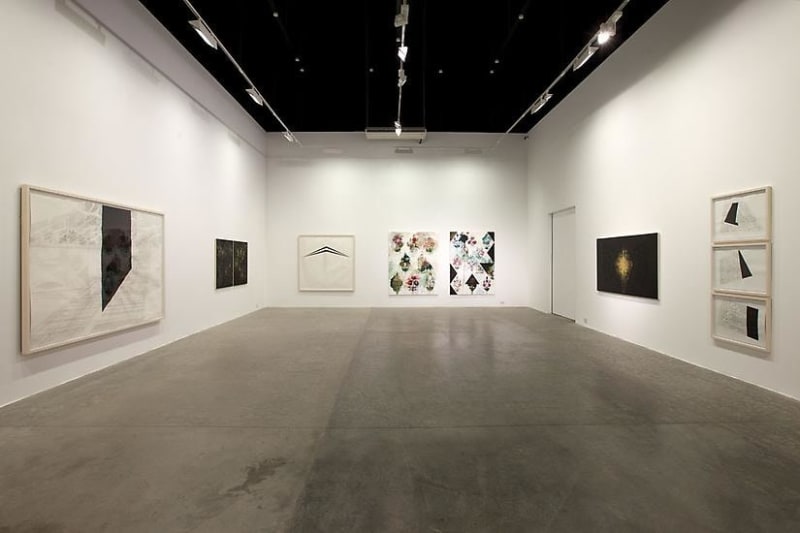 Installation view: Brute Ornament: Kamrooz Aram and Seher Shah, Green Art Gallery, 2012