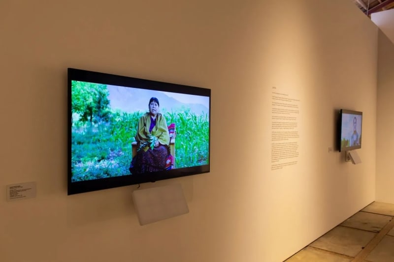 Installation view, Dyani White Hawk (Sičangu Lakota, born 1976), LISTEN (2020), HD video in collaboration with cinematographer Razelle Benally (Oglala Lakota/Diné) (courtesy the artist and Bockley Gallery, photo by Neebinnauzhik Southall/Hyperallergic)