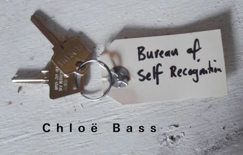 Chloë Bass on The Bureau of Self-Recognition , BOMB Magazine